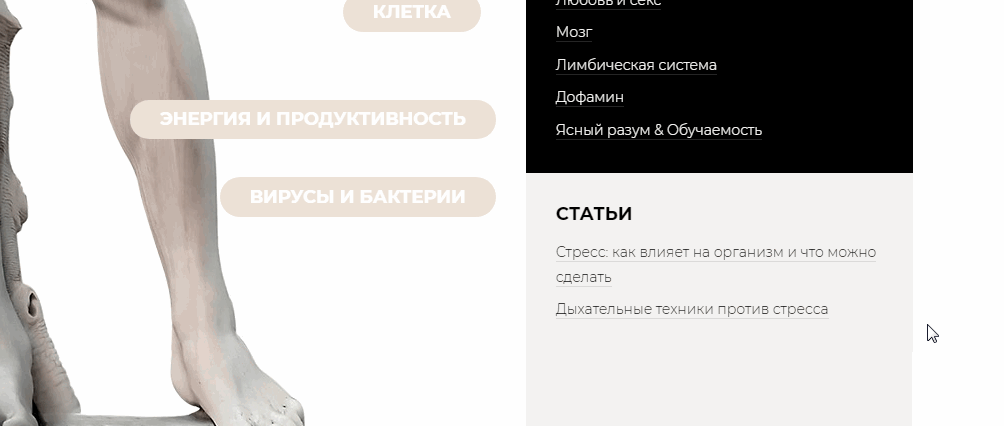 Внутренняя страница — схемы